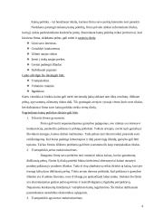 Kainodaros organizavimas įmonėje: AB "Tukompa" 4 puslapis