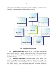 Kainodaros organizavimas įmonėje: valymo ir priežiūros paslaugos 15 puslapis