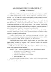 Kainodaros organizavimas įmonėje: valymo ir priežiūros paslaugos 17 puslapis