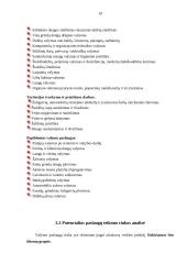 Kainodaros organizavimas įmonėje: valymo ir priežiūros paslaugos 19 puslapis