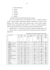 Kainodaros organizavimas įmonėje: valymo ir priežiūros paslaugos 20 puslapis