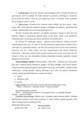 Kainodaros organizavimas įmonėje: valymo ir priežiūros paslaugos 9 puslapis