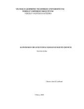 Kainodaros organizavimas konditerijos individualioje įmonėje: pyragas "Nevėžis"