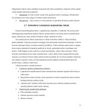 Kainodaros organizavimas konditerijos individualioje įmonėje: pyragas "Nevėžis" 11 puslapis