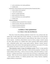 Kainodaros organizavimas konditerijos individualioje įmonėje: pyragas "Nevėžis" 15 puslapis