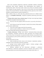 Kainodaros organizavimas konditerijos individualioje įmonėje: pyragas "Nevėžis" 16 puslapis