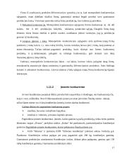 Kainodaros organizavimas konditerijos individualioje įmonėje: pyragas "Nevėžis" 17 puslapis