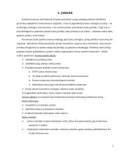 Kainodaros organizavimas konditerijos individualioje įmonėje: pyragas "Nevėžis" 3 puslapis