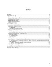 Kainodaros organizavimas: AB "Anykščių vynas" 2 puslapis