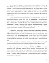 Kainodaros organizavimas: AB "Anykščių vynas" 11 puslapis