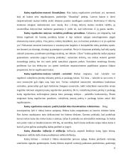 Kainodaros organizavimas: AB "Anykščių vynas" 16 puslapis