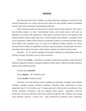 Kainodaros organizavimas: AB "Anykščių vynas" 3 puslapis