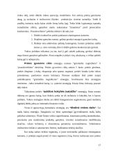 Kainodaros organizavimas: automobilių dažų gamyba UAB "Eurovistos spalvos" 12 puslapis