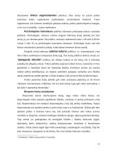 Kainodaros organizavimas: automobilių dažų gamyba UAB "Eurovistos spalvos" 13 puslapis