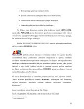 Kainodaros organizavimas: automobilių dažų gamyba UAB "Eurovistos spalvos" 16 puslapis