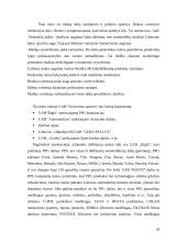 Kainodaros organizavimas: automobilių dažų gamyba UAB "Eurovistos spalvos" 18 puslapis