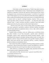 Kainodaros organizavimas: automobilių dažų gamyba UAB "Eurovistos spalvos" 3 puslapis