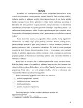 Kainodaros organizavimas: automobilių dažų gamyba UAB "Eurovistos spalvos" 4 puslapis