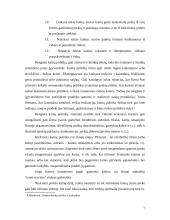 Kainodaros organizavimas: automobilių dažų gamyba UAB "Eurovistos spalvos" 7 puslapis