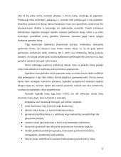 Kainodaros organizavimas: automobilių dažų gamyba UAB "Eurovistos spalvos" 8 puslapis