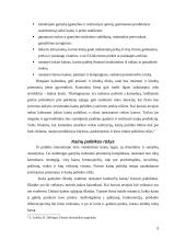 Kainodaros organizavimas: automobilių dažų gamyba UAB "Eurovistos spalvos" 9 puslapis