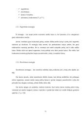 Kainodaros organizavimas: duonos gaminiai UAB "Duona" 11 puslapis