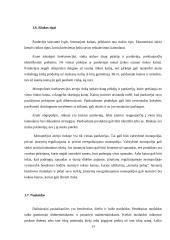 Kainodaros organizavimas: duonos gaminiai UAB "Duona" 13 puslapis