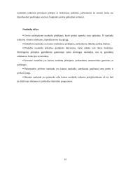 Kainodaros organizavimas: duonos gaminiai UAB "Duona" 14 puslapis