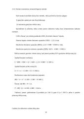 Kainodaros organizavimas: duonos gaminiai UAB "Duona" 20 puslapis