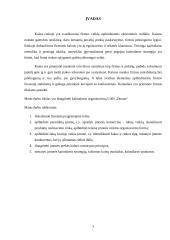 Kainodaros organizavimas: duonos gaminiai UAB "Duona" 3 puslapis