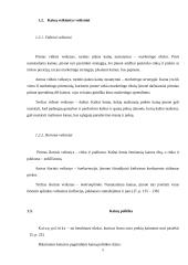 Kainodaros organizavimas: duonos gaminiai UAB "Duona" 5 puslapis