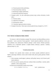 Kainodaros organizavimas: UAB "Vesida" 11 puslapis