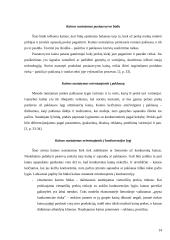 Kainodaros organizavimas: UAB "Vesida" 14 puslapis