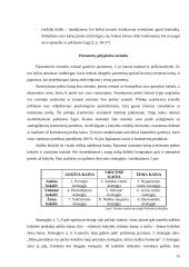 Kainodaros organizavimas: UAB "Vesida" 15 puslapis