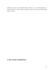 Kainodaros organizavimas: UAB "Vesida" 16 puslapis