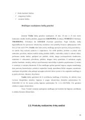 Kainodaros organizavimas: UAB "Vesida" 19 puslapis