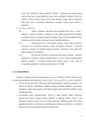 Kainodaros organizavimas: UAB "Vesida" 6 puslapis