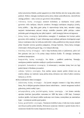 Kainodaros organizavimas: UAB "Vesida" 9 puslapis