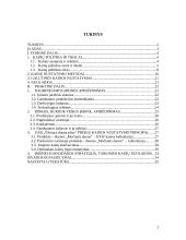 Kainodaros organizavimas: UAB "Vilniaus duona plius" 2 puslapis