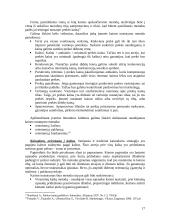 Kainodaros organizavimas: UAB "Vilniaus duona plius" 17 puslapis