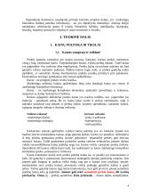 Kainodaros organizavimas: UAB "Vilniaus duona plius" 4 puslapis