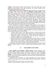 Kainodaros organizavimas: UAB "Vilniaus duona plius" 5 puslapis