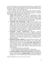 Kainodaros organizavimas: UAB "Vilniaus duona plius" 6 puslapis