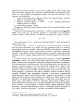 Kainodaros organizavimas: UAB "Vilniaus duona plius" 9 puslapis