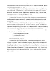 Kainodaros proceso organizavimas: UAB "Mentora" ir Ko 11 puslapis