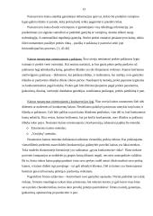 Kainodaros proceso organizavimas: UAB "Mentora" ir Ko 13 puslapis