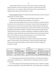 Kainodaros proceso organizavimas: UAB "Mentora" ir Ko 14 puslapis