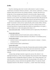 Kainodaros proceso organizavimas: UAB "Mentora" ir Ko 3 puslapis