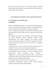 Karštai rūkytų mėsos gaminių gamybos skyriaus projektavimas 11 puslapis