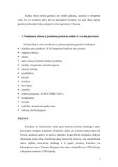 Karštai rūkytų mėsos gaminių gamybos skyriaus projektavimas 4 puslapis